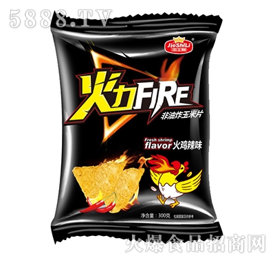 ��ʿ������FlRE����Ƭ���u��ζ300��