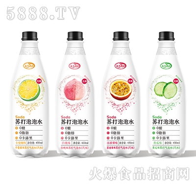天下水坊蘇打泡泡水飲料450ml