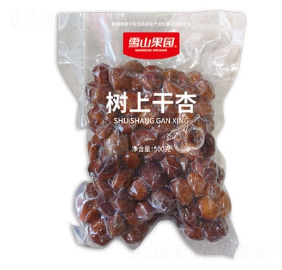 ѩɽ���@���ϸ���