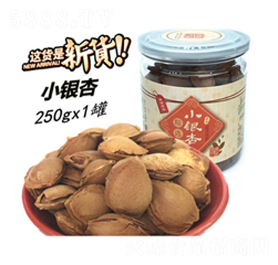 �\��̩С�y��С����