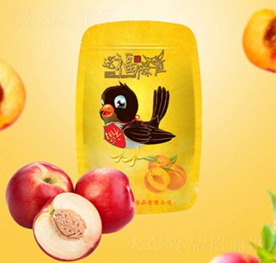 �͸���ȸ�t�Ӹ�