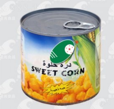 �ǹ������׹��^С���b