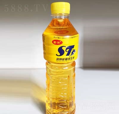 ����L�������S�����������