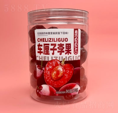 ����܇��������������T270g